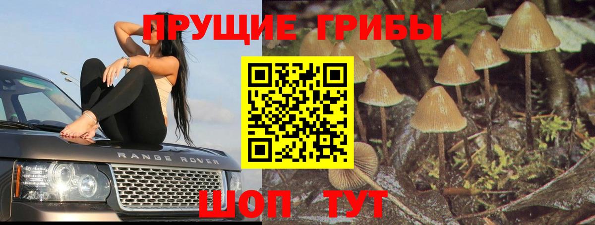 Ирбит  Галлюциногенные грибы прущие грибы  Вход с VPN 